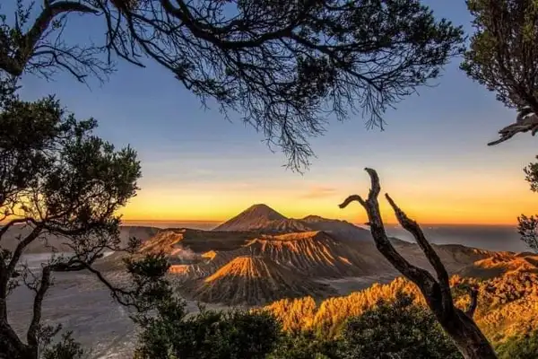 Bromo Bromo